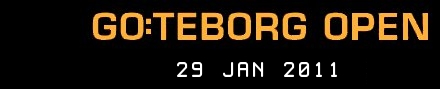 Go:teborg Open - Ju-jutsu - 2010-01-30 - Göteborg, SWEDEN
